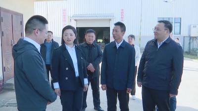 市领导深入襄州区调研文明乡风建设工作