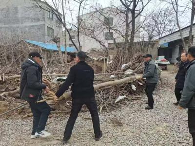 人大代表带头干 助力人居环境整治