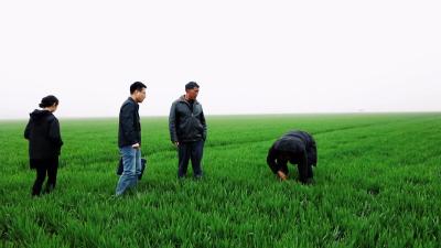 种好监督“责任田” 当好春耕备耕“守护人”
