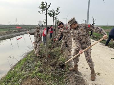 民兵齐心显担当 植树添绿展风采