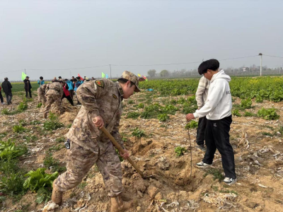 发挥民兵作用 共建生态家园