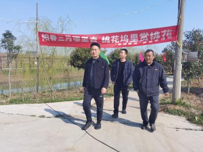 黄龙镇：春风吹热“花经济” 为农文旅融合发展赋能