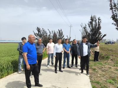 古驿镇人大：实地调研 助力小麦良种推广