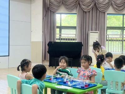 以研促教展风采  科学探索启童心