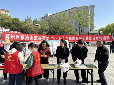 张湾街道开展2025年“全民国家安全教育日”普法宣传活动