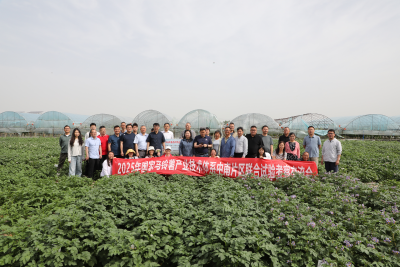 国家马铃薯产业技术体系中南片区联合试验考察交流会在襄阳召开