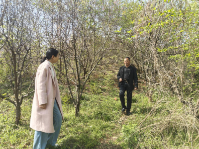 黄龙镇人大：代表履职显担当 共筑森林“防火墙”