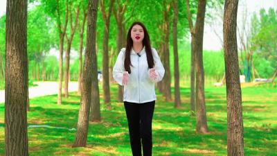 打卡小清河畔的生态盲盒！伙牌镇生态美景描绘“诗与远方”