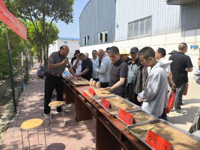 古驿镇人大：田间地头听民意 看禾选种助增收