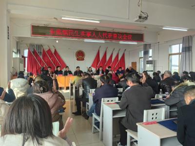 朱集镇：人大票决引“洁水” 代表履职润民心