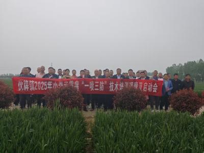 伙牌镇召开小麦田间管理暨“一喷三防”现场会