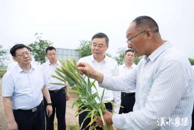 吴海涛调研防汛抗旱和农业生产工作时强调 抓实抓细防汛抗旱工作 全力确保夏粮丰产丰收