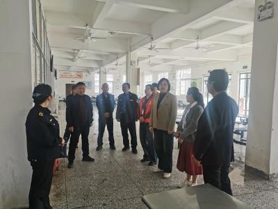 程河镇：人大代表视察爱国卫生运动