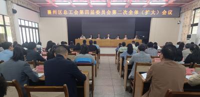 区总工会第四届委员会第二次全体（扩大）会议召开