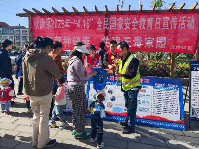 伙牌镇：多部门联动，共筑国家安全和禁毒防线