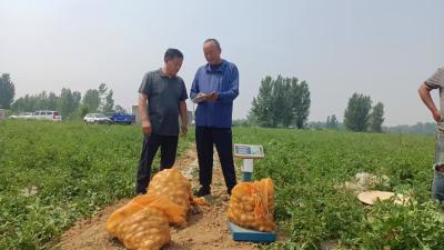 农技专人实地调研 打好抗旱主动仗