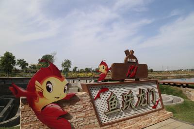 张家集镇李营村：特色锦鲤游出乡村振兴“致富路”​