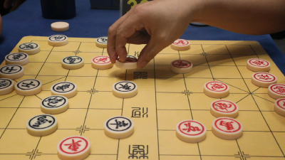 2025年襄阳市“石花三香杯”象棋交流赛暨第二届“万佳杯”象棋精英赛落幕