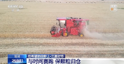 【央媒看襄州】与时间赛跑 保颗粒归仓