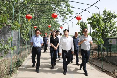 刘明锋：以农文旅深度融合助力乡村全面振兴