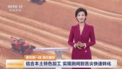 【央媒看襄州】结合本土特色加工 实现田间到舌尖快速转化
