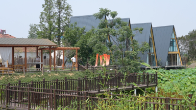 文旅赋能乡村振兴 峪山镇“金寨田园”火出圈！
