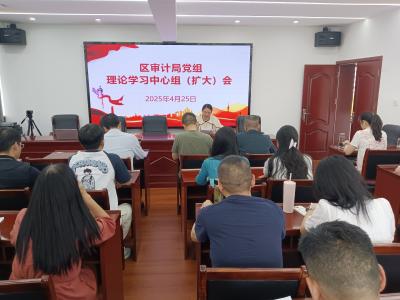 区审计局：“三聚焦”深化党建引领审计进阶