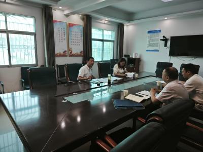 区领导到龙王镇检查指导工作