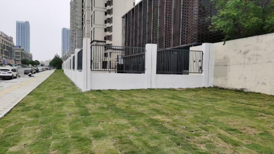 荒地变身人行道 出行环境大提升