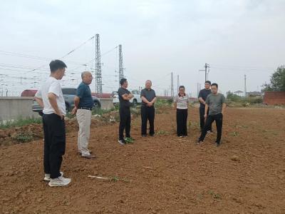 人大督导多项重点工作 全力推进项目建设与民生保障