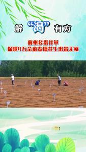 解“渴”有方 襄州多措并举保障4万余亩春播花生出苗无忧