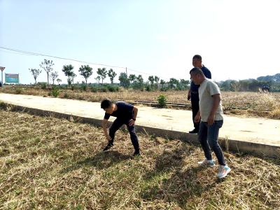 黄龙镇：抢抓农忙夏种 绘就乡村振兴新“丰”景