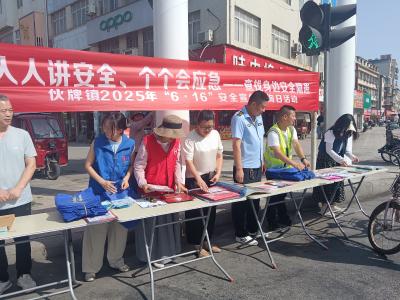 伙牌镇开展“人人讲安全  个个会应急”安全隐患排查宣传活动