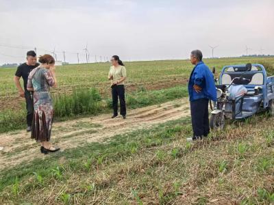 伙牌镇人大：田间察农情 履职解民忧