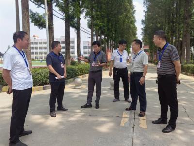 程河镇人大代表开展校园餐专项监督 守护师生“舌尖安全”