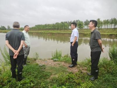 黄集镇人大：防汛一线践初心 履职为民显担当