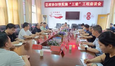 区政协召开加快实施“三能”工程座谈会