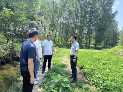 黄龙镇：政协委员为淳河幸福河湖建设献计出力