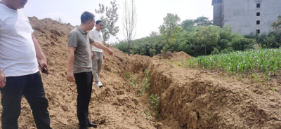 古驿镇：高效响应 为民解忧