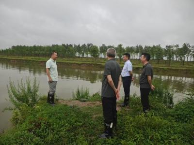 黄集镇：上下协同抓防汛 重点防护保平安