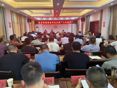 张家集镇：宣讲“三大精神” 践行初心使命