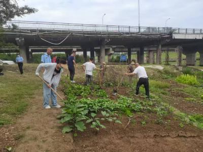 襄州区河道堤防服务中心开展清除堤防违规种植联合行动