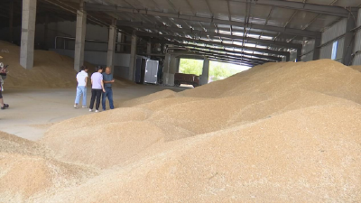 “订单式”服务 助推粮食产业提质增效
