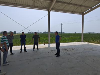 峪山镇人大：电线“转迁”解忧愁 安全用电有保障