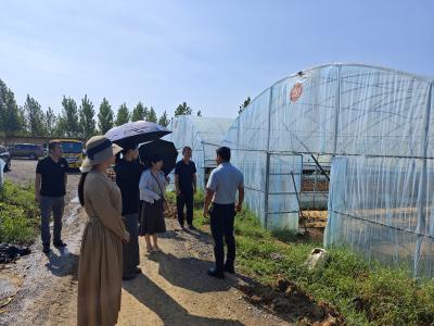 伙牌镇政协：协商在一线 加快农文旅融合发展