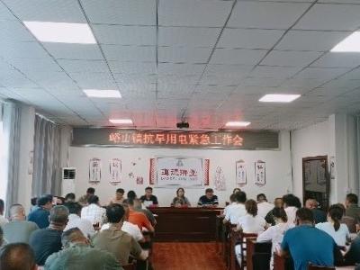 峪山镇人大：强化抗旱用电意识 守护民生“生命线”