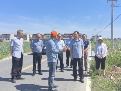 区领导到黄集镇调研“小田并大田”工作