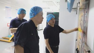 【楚商回乡 共建支点】楚商归巢筑梦 匠心点亮家乡