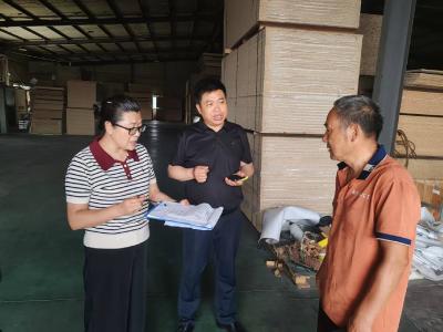 伙牌镇人大：开展安全隐患拉网式排查 