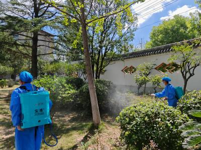 多措并举开展灭蚊防疫工作 筑牢基孔肯雅热防护屏障